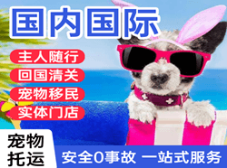 朔州滋润航空快递国际宠物托运 【国